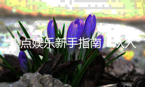 焦点娱乐新手指南：从入门到精通的完整攻略