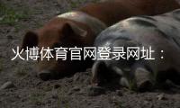 火博体育官网登录网址：赛事精彩纷呈