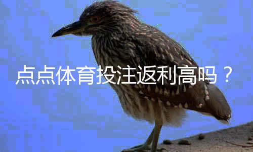 点点体育投注返利高吗?真实返利比例、领取攻略与风险提示