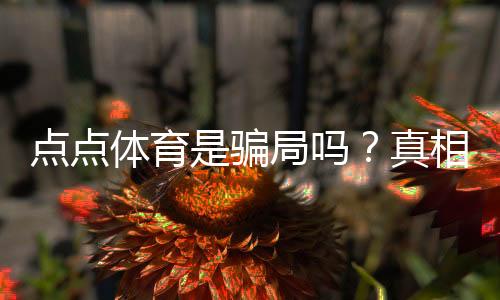 点点体育是骗局吗?真相揭秘、用户评价与防骗攻略