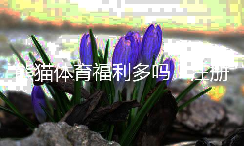 熊猫体育福利多吗？注册送礼、返水与优惠活动一次看懂