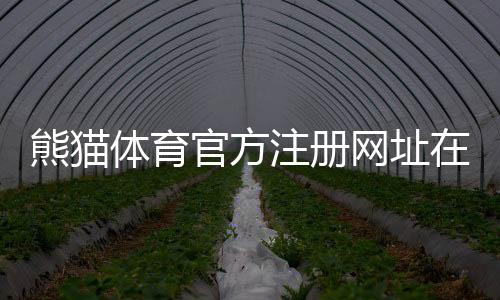 熊猫体育官方注册网址在哪?最新官方入口、注册流程与安全验证全攻略
