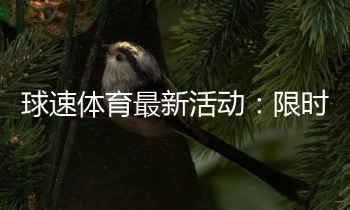 球速体育最新活动:限时优惠与精彩赛事等你来参与