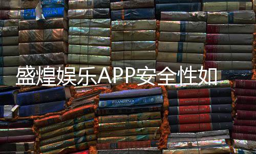 盛煌娱乐APP安全性如何?资深玩家实测解析与保障建议
