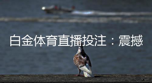 白金体育直播投注:震撼体育赛事实时激情!