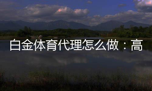白金体育代理怎么做:高效推广技巧分享