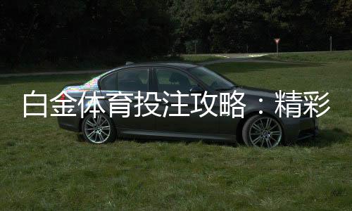 白金体育投注攻略:精彩玩法分享
