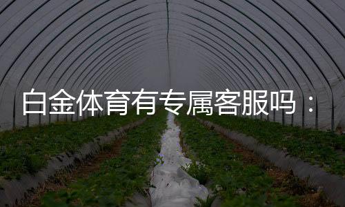 白金体育有专属客服吗:玩家福利大揭秘