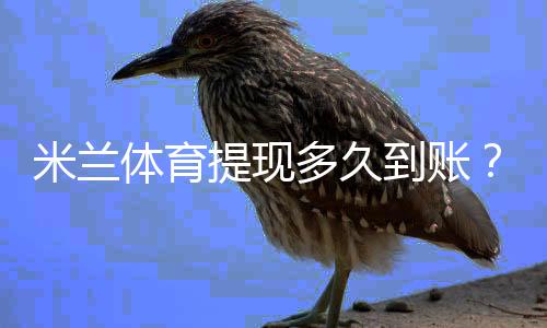 米兰体育提现多久到账?到账时间、影响因素与加速技巧详解