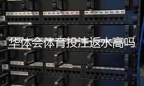 华体会体育投注返水高吗?真实返水比例与常见疑问深度解析