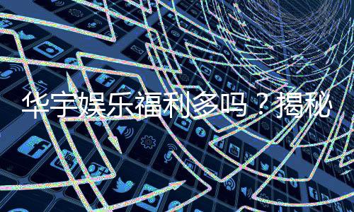 华宇娱乐福利多吗?揭秘会员优惠与惊喜彩蛋