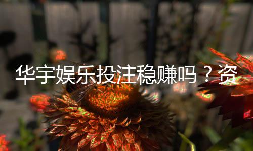 华宇娱乐投注稳赚吗?资深玩家揭秘真实盈利策略
