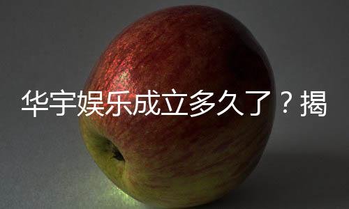华宇娱乐成立多久了?揭秘这家老牌平台的发展历程与实力背景
