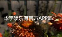 华宇娱乐有官方APP吗？一文详解下载安装与使用指南
