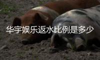 华宇娱乐返水比例是多少？最新返水政策及高比例技巧解析