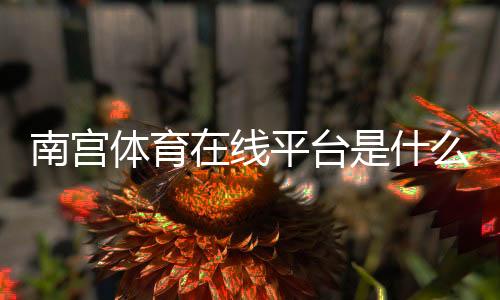 南宫体育在线平台是什么?新手注册、充值、玩法与安全性全面解析