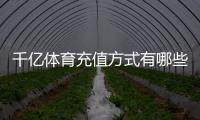 千亿体育充值方式有哪些：详细介绍支付方式