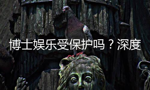 博士娱乐受保护吗?深度解析其安全性与玩家保障措施