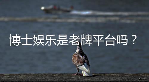 博士娱乐是老牌平台吗?资深玩家解析其历史与信誉