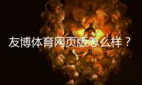 友博体育网页版怎么样？安全性、功能与用户体验全面评测