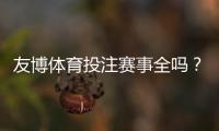 友博体育投注赛事全吗？平台覆盖范围、热门联赛与投注玩法全解析