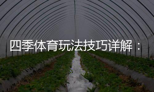 四季体育玩法技巧详解:新手快速上手与实战盈利攻略