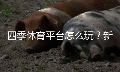 四季体育平台怎么玩?新手注册、充值、投注与安全指南