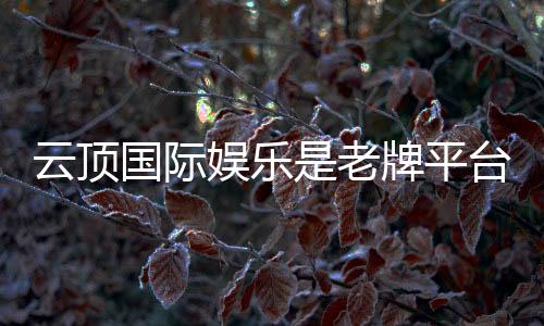 云顶国际娱乐是老牌平台吗?资深玩家揭秘其历史与实力