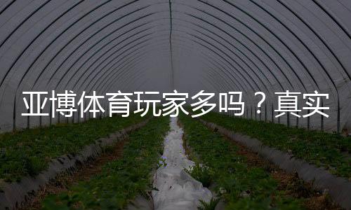 亚博体育玩家多吗?真实用户量与平台人气全面解析