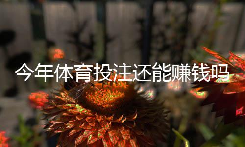 今年体育投注还能赚钱吗?盈利概率、主要风险与实用策略一文看懂
