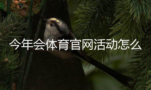 今年会体育官网活动怎么玩?最新优惠、参与流程与注意事项全面解析