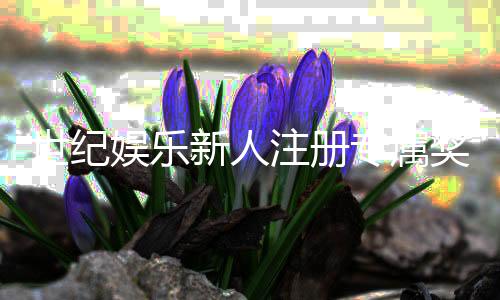 世纪娱乐新人注册专属奖励:首存礼包与VIP特权详解