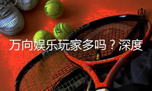 万向娱乐玩家多吗？深度解析平台人气与玩家活跃度
