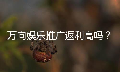 万向娱乐推广返利高吗?真实玩家解析高返利活动内幕