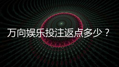 万向娱乐投注返点多少?揭秘高返点福利与实战技巧