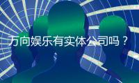 万向娱乐有实体公司吗？深度解析其线下运营与资质背景