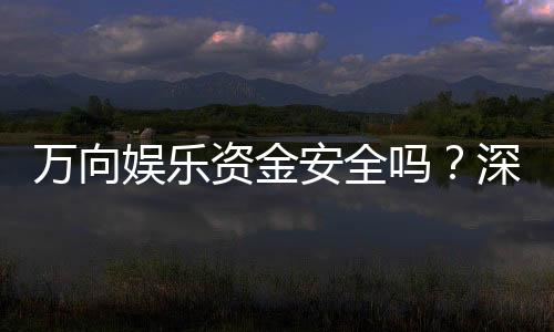 万向娱乐资金安全吗?深度解析平台资金保障措施
