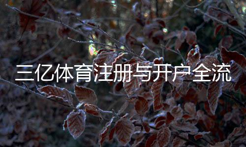 三亿体育注册与开户全流程:新手必看步骤与常见问题一览