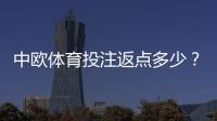 中欧体育投注返点多少？最新返点比例、计算方法与提高收益技巧