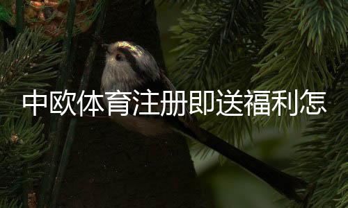 中欧体育注册即送福利怎么领?新人注册流程、优惠详情与注意事项