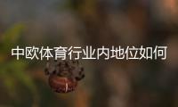 中欧体育行业内地位如何？深度解析市场份额、竞争优势与发展前景