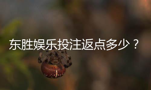 东胜娱乐投注返点多少?揭秘高返水福利与实战技巧