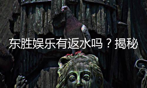 东胜娱乐有返水吗?揭秘返水政策与高额回馈详情