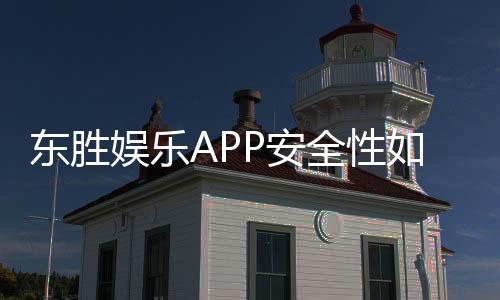 东胜娱乐APP安全性如何?深度解析其资金保障与数据防护机制