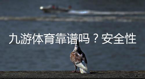 九游体育靠谱吗?安全性、资质与用户评价深度解析