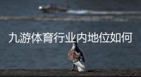 九游体育行业内地位如何？市场份额、竞争优势与发展前景一文看懂