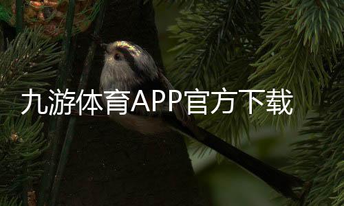 九游体育APP官方下载通道详解:官网下载地址、安卓iOS一键安装与安全验证教程