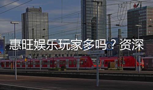 惠旺娱乐玩家多吗?资深玩家揭秘真实人气与体验