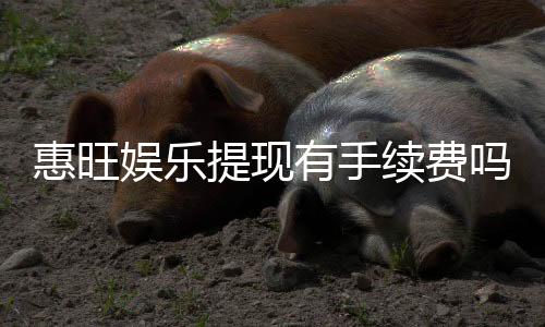 惠旺娱乐提现有手续费吗?手续费标准及到账时间详解