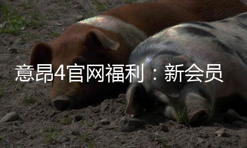 意昂4官网福利：新会员专享礼金与高返水活动揭秘